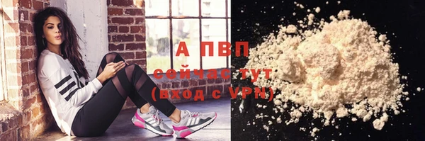 СК Верея